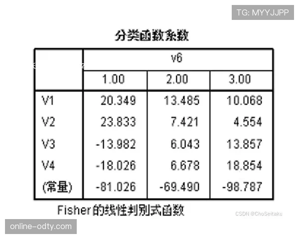 全面剖析篮球场上判罚优先级规则的判定依据与适用逻辑