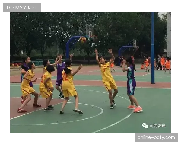 篮球比赛中进攻重置规则在什么情况下触发以及判定标准解析